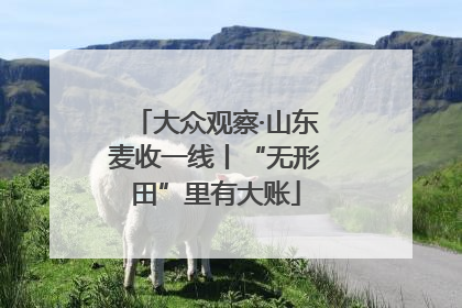 大众观察·山东麦收一线丨“无形田”里有大账