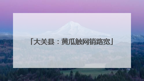 大关县：黄瓜触网销路宽