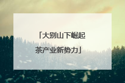 大别山下崛起茶产业新势力
