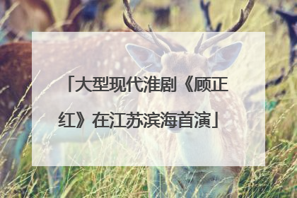 大型现代淮剧《顾正红》在江苏滨海首演