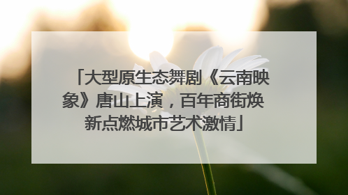 大型原生态舞剧《云南映象》唐山上演，百年商街焕新点燃城市艺术激情