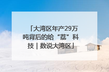 大湾区年产29万吨背后的给“荔”科技｜数说大湾区