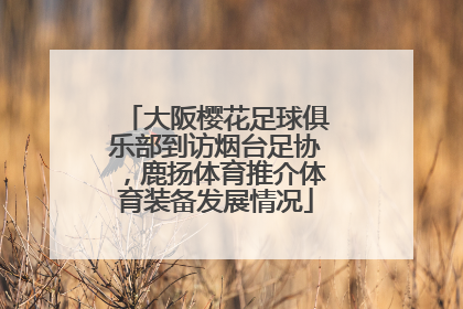 大阪樱花足球俱乐部到访烟台足协，鹿扬体育推介体育装备发展情况