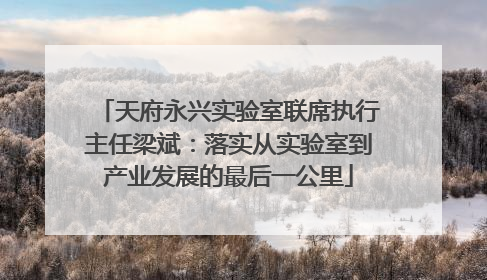 天府永兴实验室联席执行主任梁斌：落实从实验室到产业发展的最后一公里