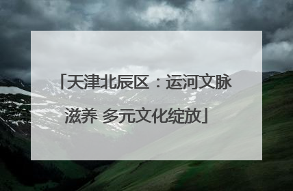 天津北辰区：运河文脉滋养 多元文化绽放