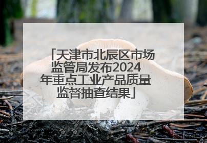 天津市北辰区市场监管局发布2024年重点工业产品质量监督抽查结果