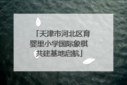 天津市河北区育婴里小学国际象棋共建基地启航