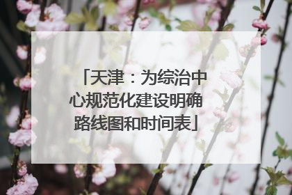 天津：为综治中心规范化建设明确路线图和时间表
