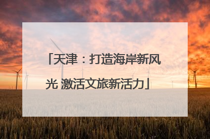 天津：打造海岸新风光 激活文旅新活力