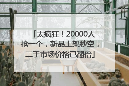 太疯狂！20000人抢一个，新品上架秒空，二手市场价格已翻倍