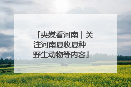 央媒看河南｜关注河南夏收夏种 野生动物等内容
