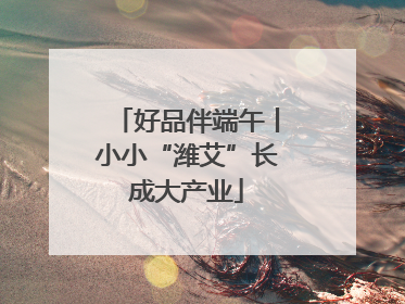 好品伴端午丨小小“潍艾”长成大产业