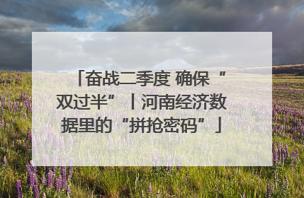 奋战二季度 确保“双过半”丨河南经济数据里的“拼抢密码”
