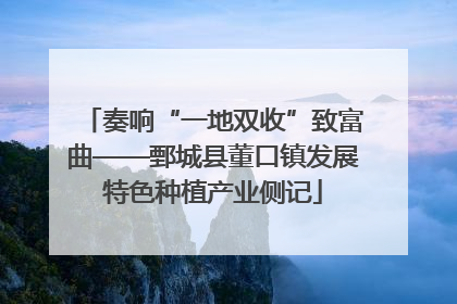 奏响“一地双收”致富曲——鄄城县董口镇发展特色种植产业侧记