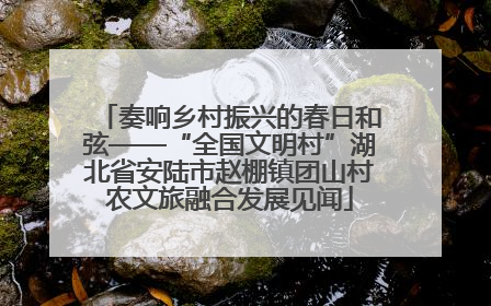 奏响乡村振兴的春日和弦——“全国文明村”湖北省安陆市赵棚镇团山村农文旅融合发展见闻