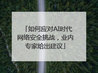如何应对AI时代网络安全挑战，业内专家给出建议