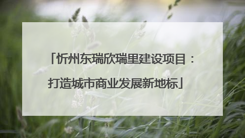 忻州东瑞欣瑞里建设项目：打造城市商业发展新地标