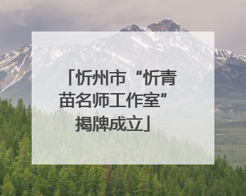 忻州市“忻青苗名师工作室”揭牌成立