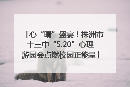 心“晴”盛宴！株洲市十三中“5.20”心理游园会点燃校园正能量