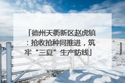 德州天衢新区赵虎镇：抢收抢种同推进，筑牢“三夏”生产防线
