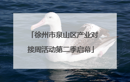 徐州市泉山区产业对接周活动第二季启幕