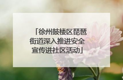 徐州鼓楼区琵琶街道深入推进安全宣传进社区活动
