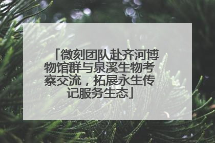 微刻团队赴齐河博物馆群与泉溪生物考察交流，拓展永生传记服务生态