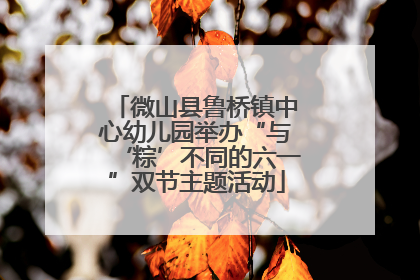 微山县鲁桥镇中心幼儿园举办“与‘粽’不同的六一”双节主题活动