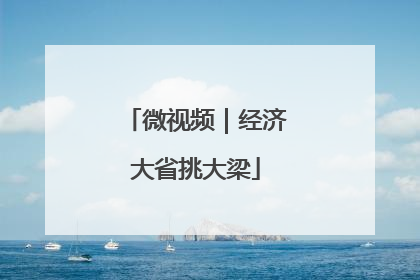 微视频｜经济大省挑大梁