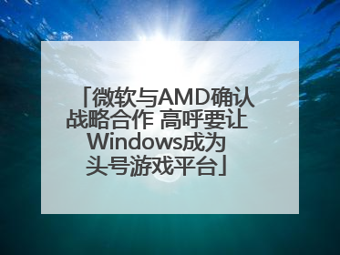 微软与AMD确认战略合作 高呼要让Windows成为头号游戏平台