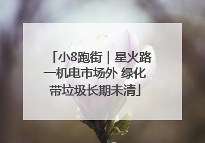 小8跑街｜星火路一机电市场外 绿化带垃圾长期未清