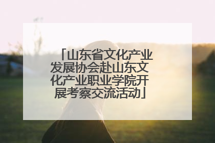 山东省文化产业发展协会赴山东文化产业职业学院开展考察交流活动