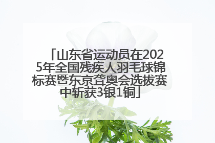 山东省运动员在2025年全国残疾人羽毛球锦标赛暨东京聋奥会选拔赛中斩获3银1铜