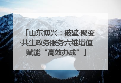 山东博兴：破壁·聚变·共生政务服务六维增值赋能“高效办成”
