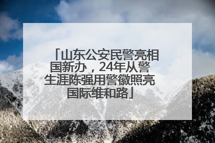 山东公安民警亮相国新办，24年从警生涯陈强用警徽照亮国际维和路