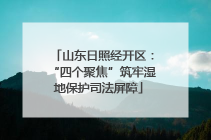山东日照经开区：“四个聚焦”筑牢湿地保护司法屏障
