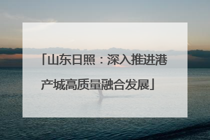 山东日照：深入推进港产城高质量融合发展