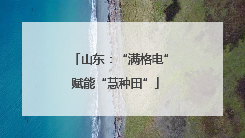 山东：“满格电”赋能“慧种田”