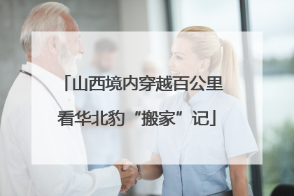 山西境内穿越百公里 看华北豹“搬家”记