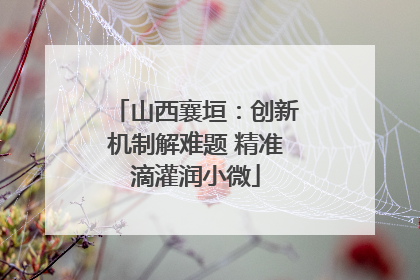 山西襄垣：创新机制解难题 精准滴灌润小微