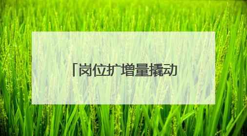 岗位扩增量撬动就业 十堰今年已为大学生提供岗位2万余个