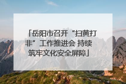 岳阳市召开“扫黄打非”工作推进会 持续筑牢文化安全屏障