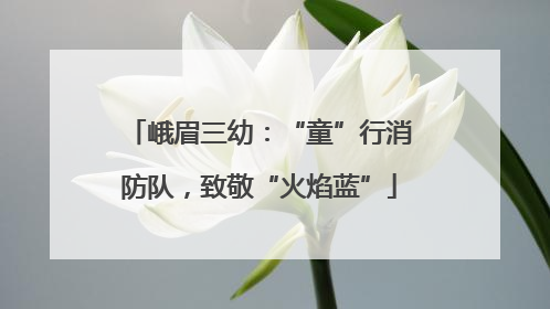 峨眉三幼：“童”行消防队，致敬“火焰蓝”