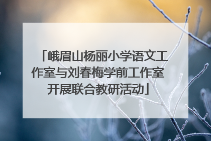 峨眉山杨丽小学语文工作室与刘春梅学前工作室开展联合教研活动