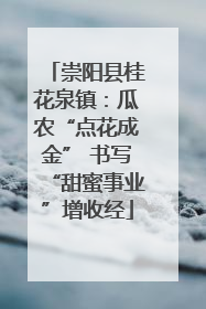 崇阳县桂花泉镇：瓜农“点花成金” 书写“甜蜜事业”增收经