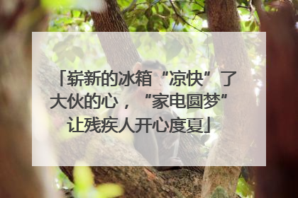 崭新的冰箱“凉快”了大伙的心，“家电圆梦”让残疾人开心度夏