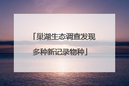 巢湖生态调查发现多种新记录物种