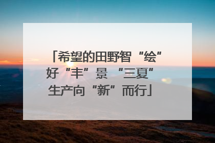 希望的田野智“绘”好“丰”景 “三夏”生产向“新”而行