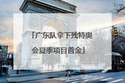 广东队拿下残特奥会夏季项目首金