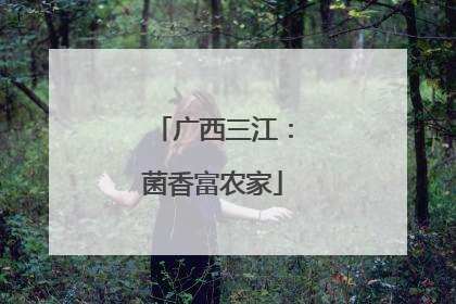 广西三江：菌香富农家